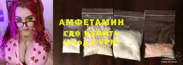 хмурый Абаза