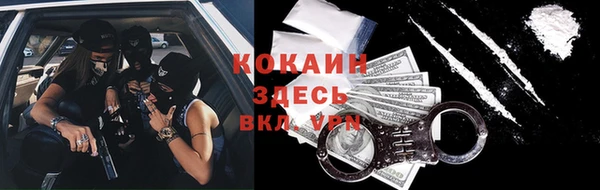хмурый Абаза