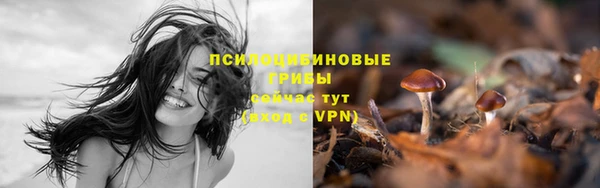 хмурый Абаза