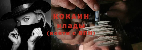 хмурый Абаза