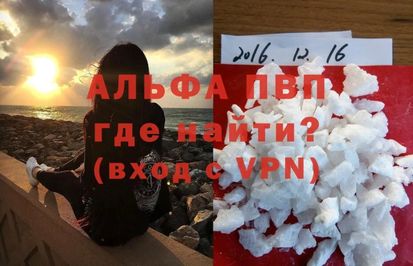 хмурый Абаза