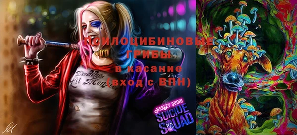прущая мука Абинск