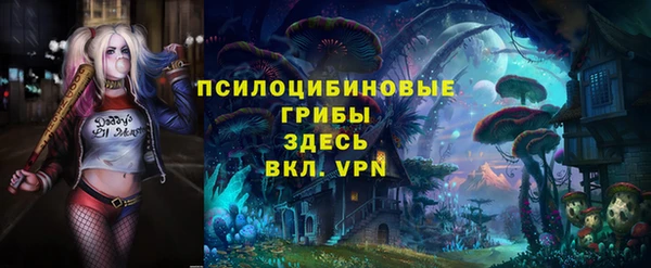 хмурый Абаза