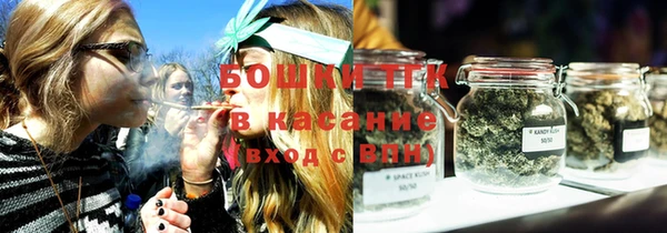 хмурый Абаза