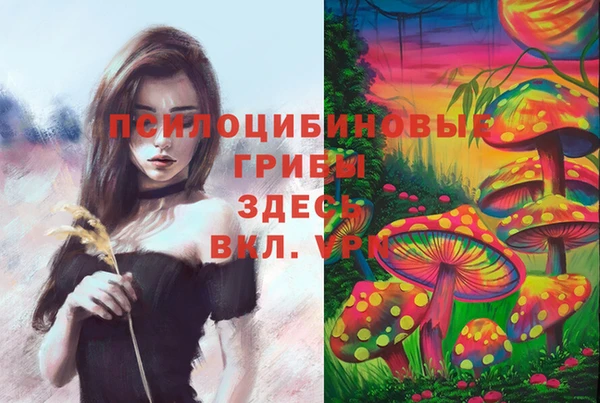 мет Абдулино