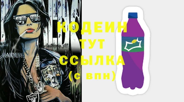 хмурый Абаза